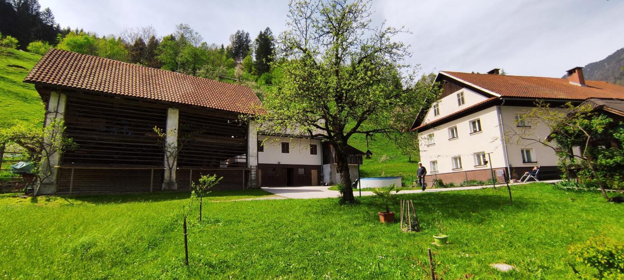 Domacija Markc Zelezniki Exterior foto
